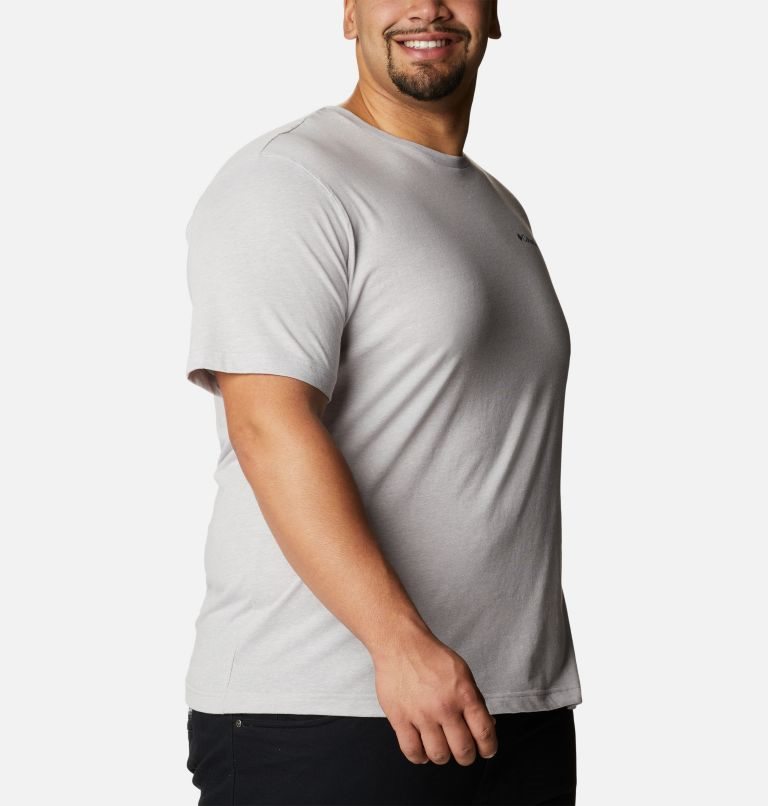 Men's Columbia Thistletown Hills Short Sleeve T Shirts Light Grey | Plus Size CA-SAC08